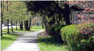 Boulevard path in springtime